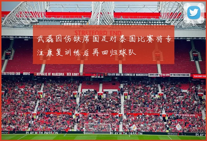 武磊因伤缺席国足对泰国比赛将专注康复训练后再回归球队