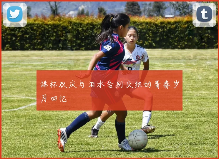 捧杯欢庆与泪水告别交织的青春岁月回忆